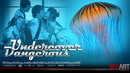 Cindy Starfall & Elle Alexandra & Marica Hase - Undercover Dangerous